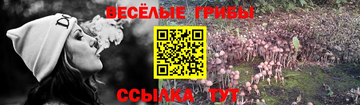 Чехов  Галлюциногенные грибы GOLDEN TEACHER  Галлюциногенные грибы мицелий  Вход с VPN 